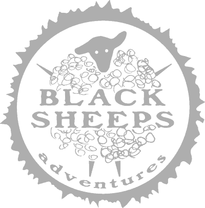blacksheep